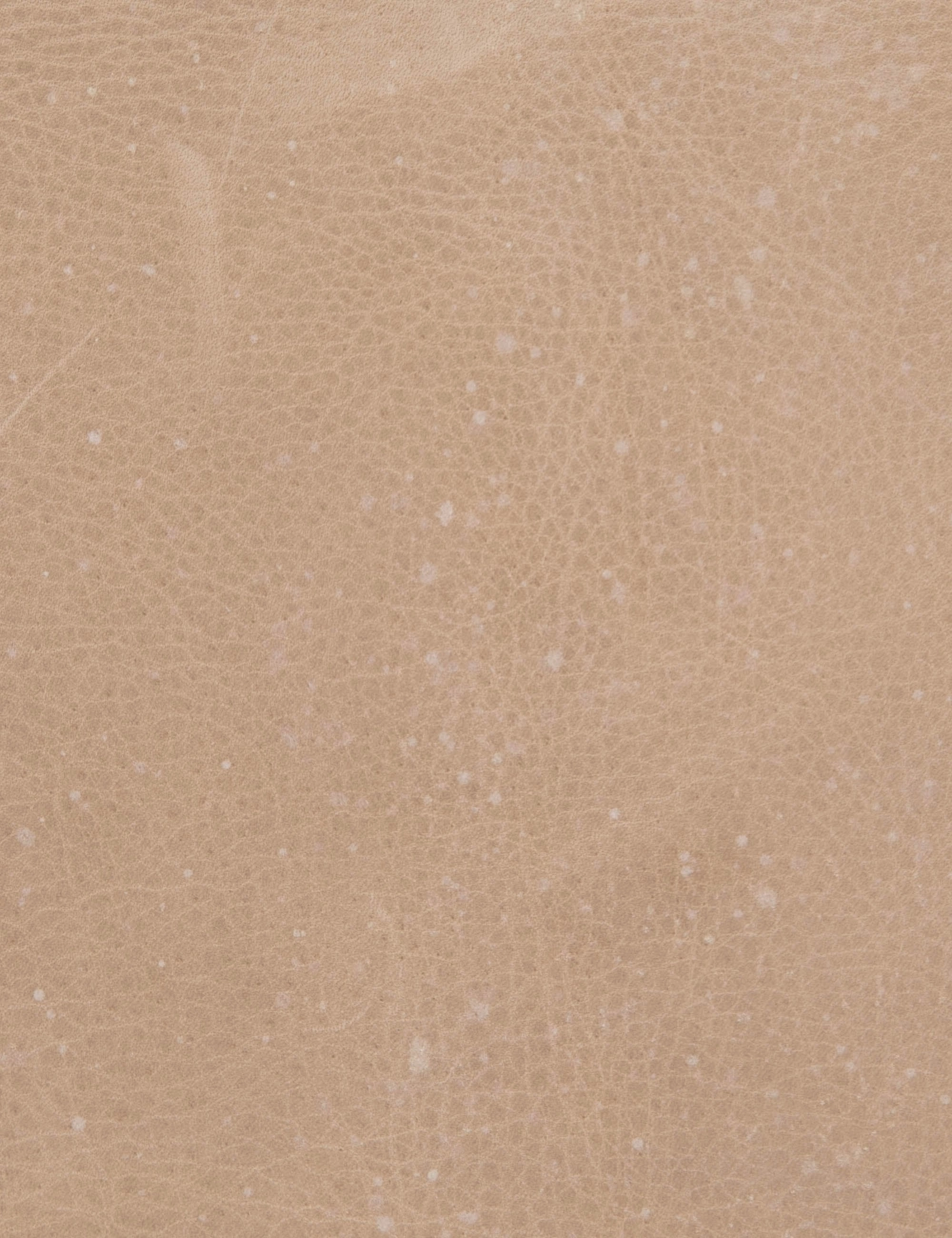 Anouk Accent Chair