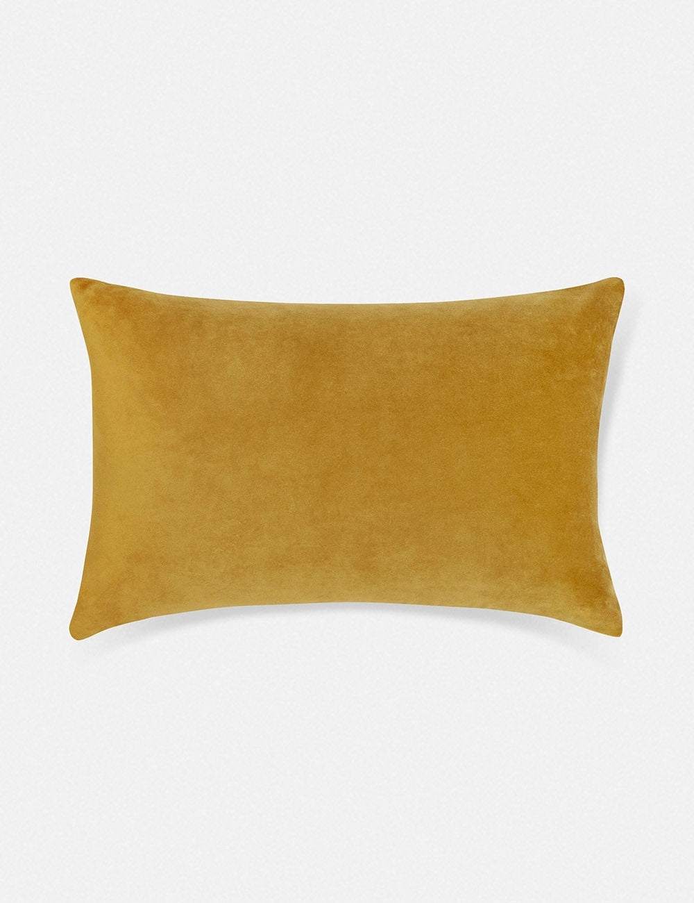 Charlotte Velvet Pillow