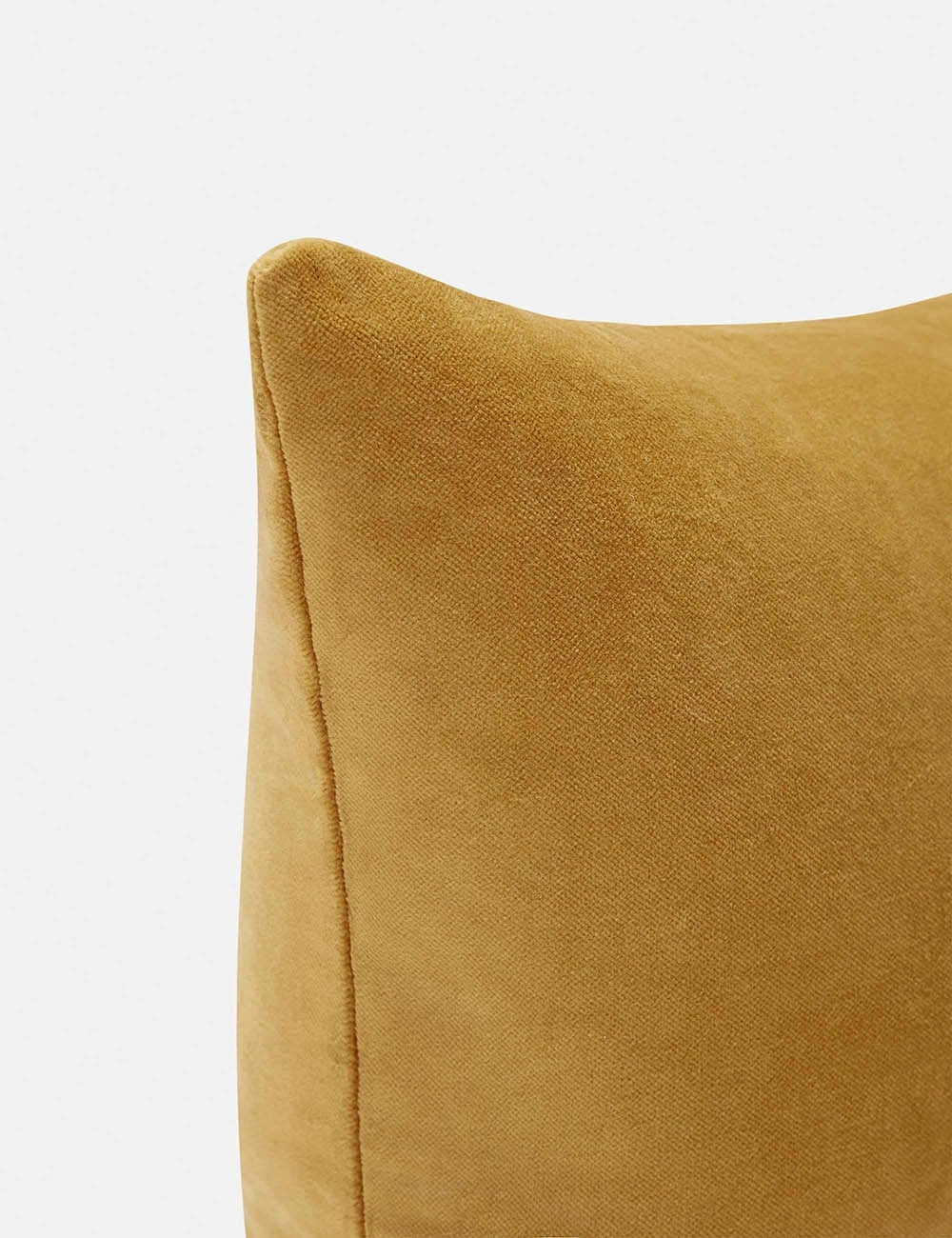 Charlotte Velvet Pillow