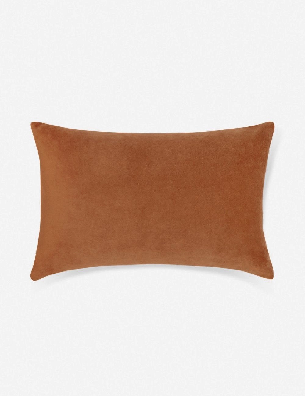 Charlotte Velvet Pillow