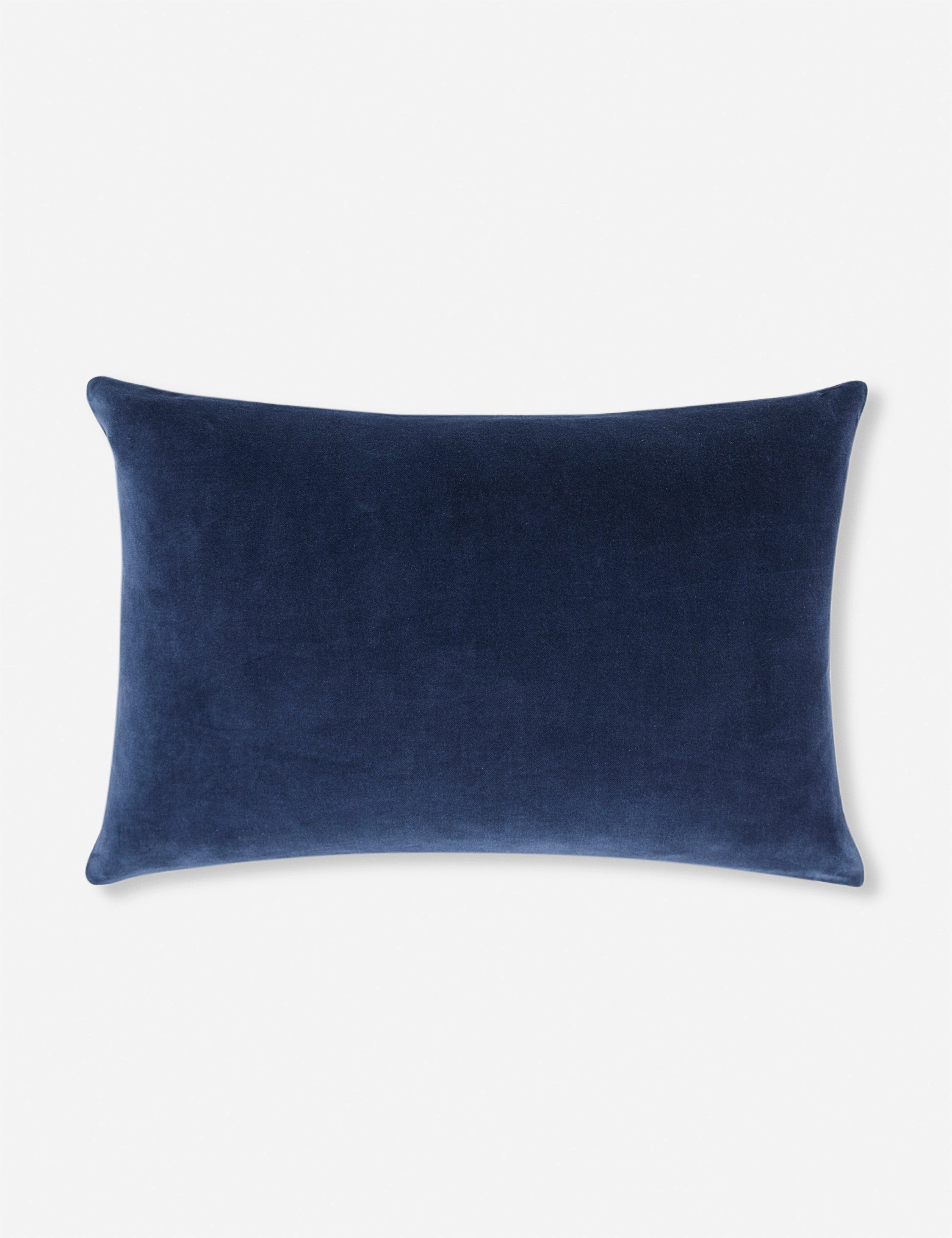 Charlotte Velvet Pillow