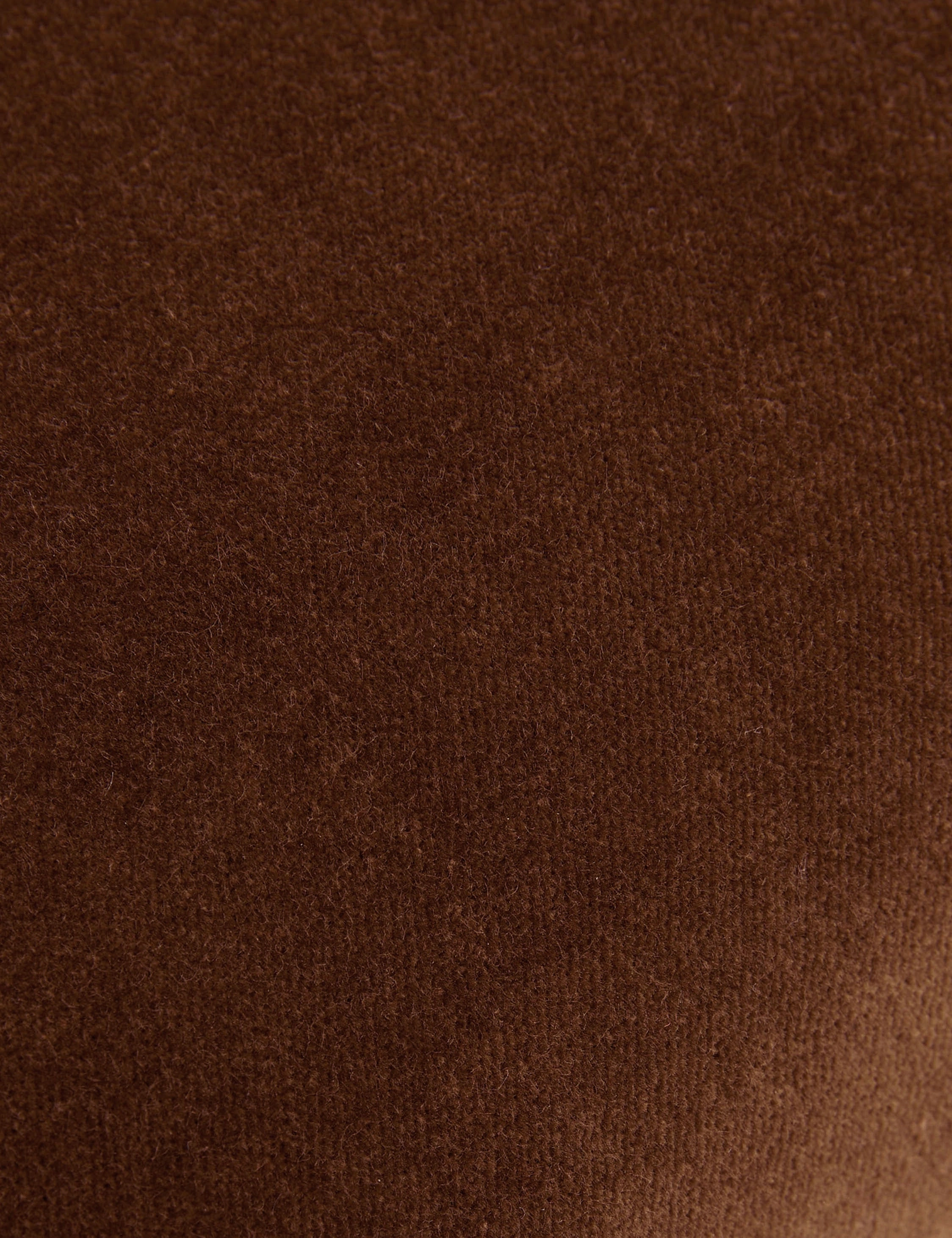 Charlotte Velvet Pillow