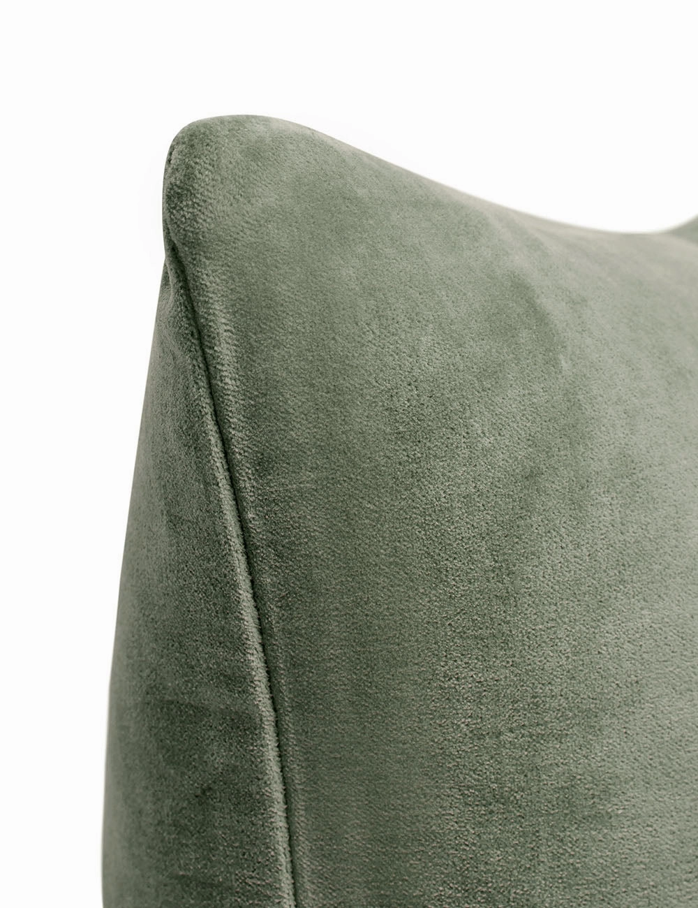 Charlotte Velvet Pillow