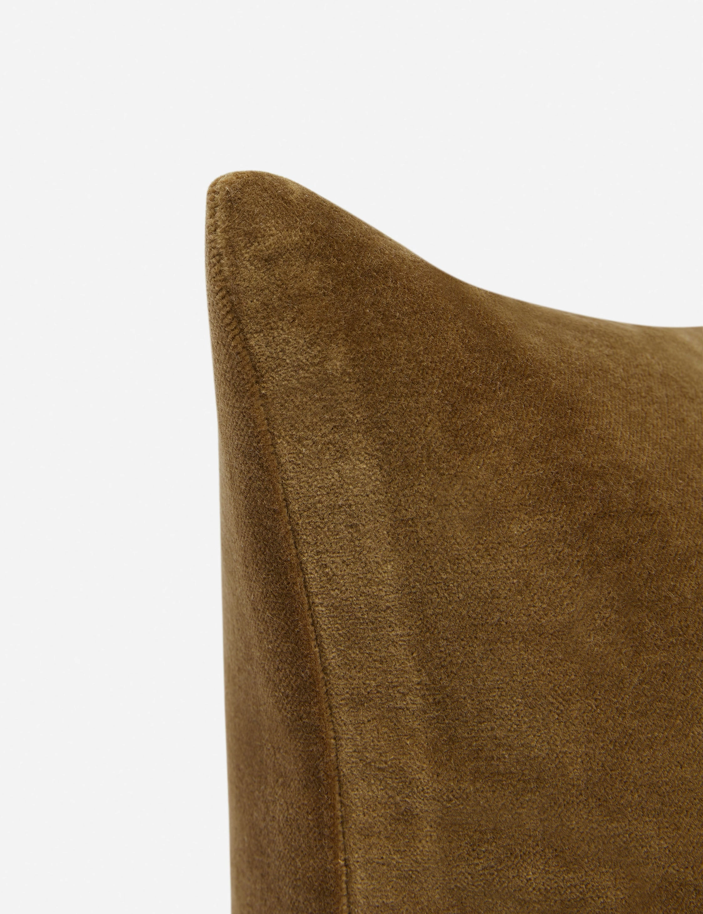 Charlotte Velvet Pillow