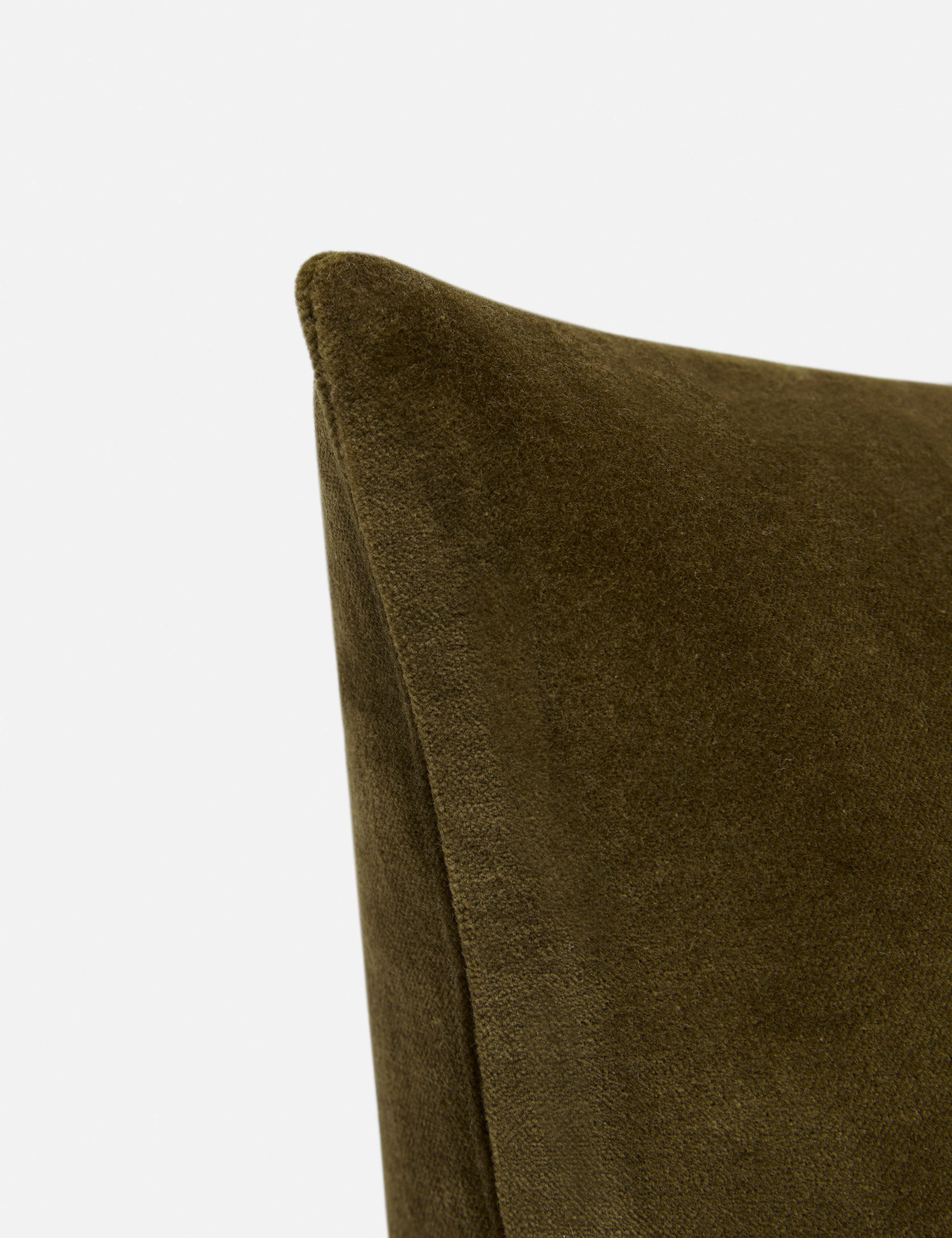 Charlotte Velvet Pillow