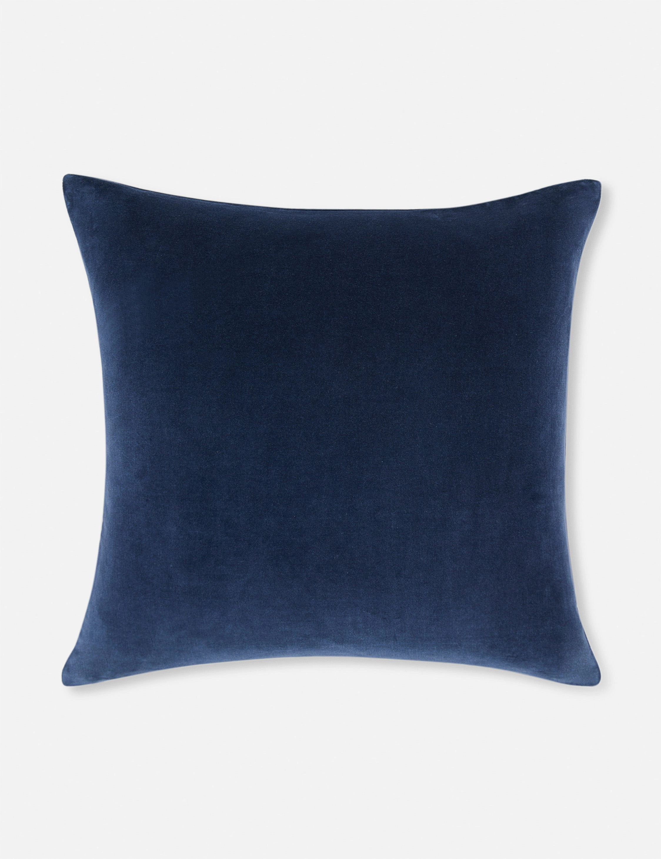 Charlotte Velvet Pillow