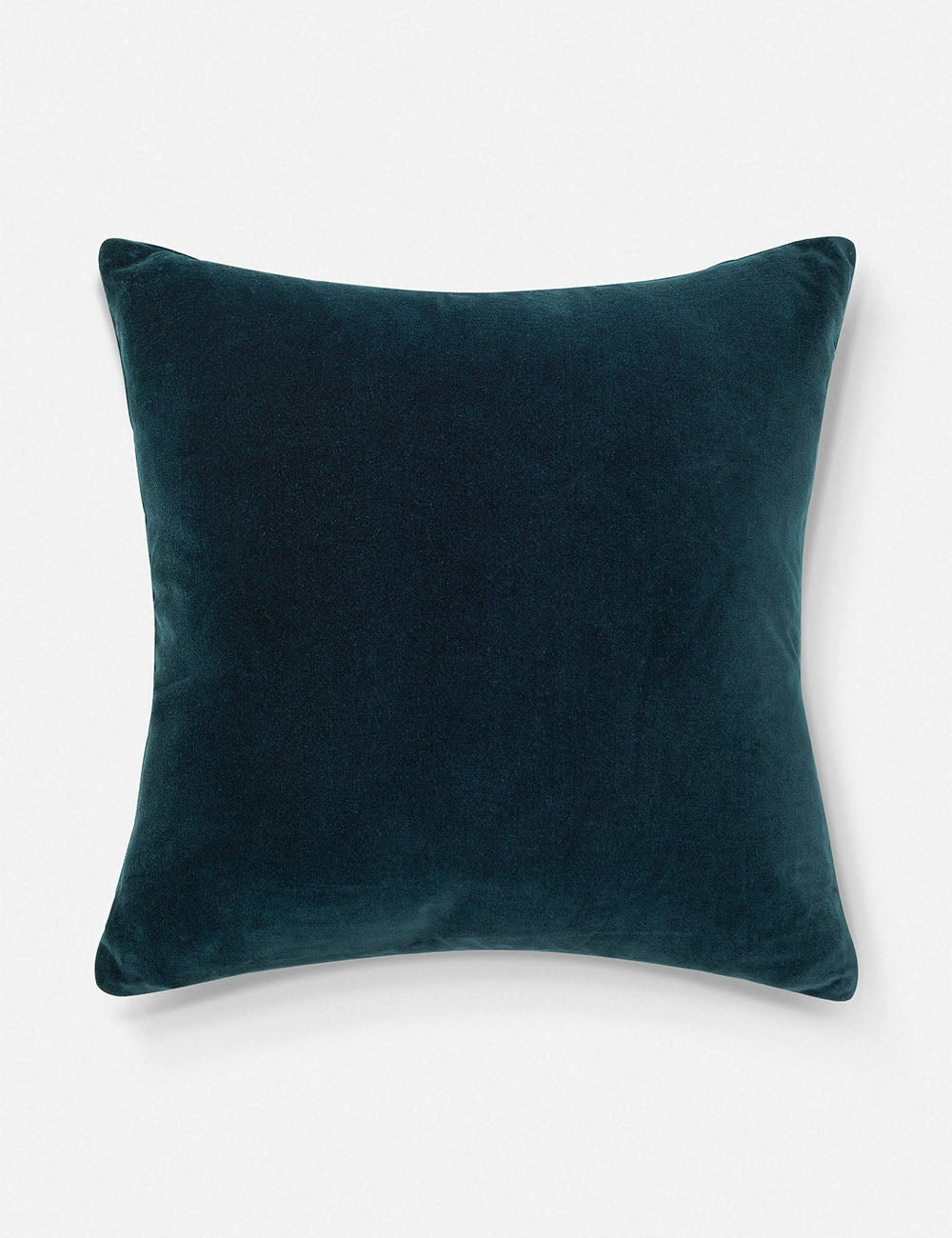 Charlotte Velvet Pillow