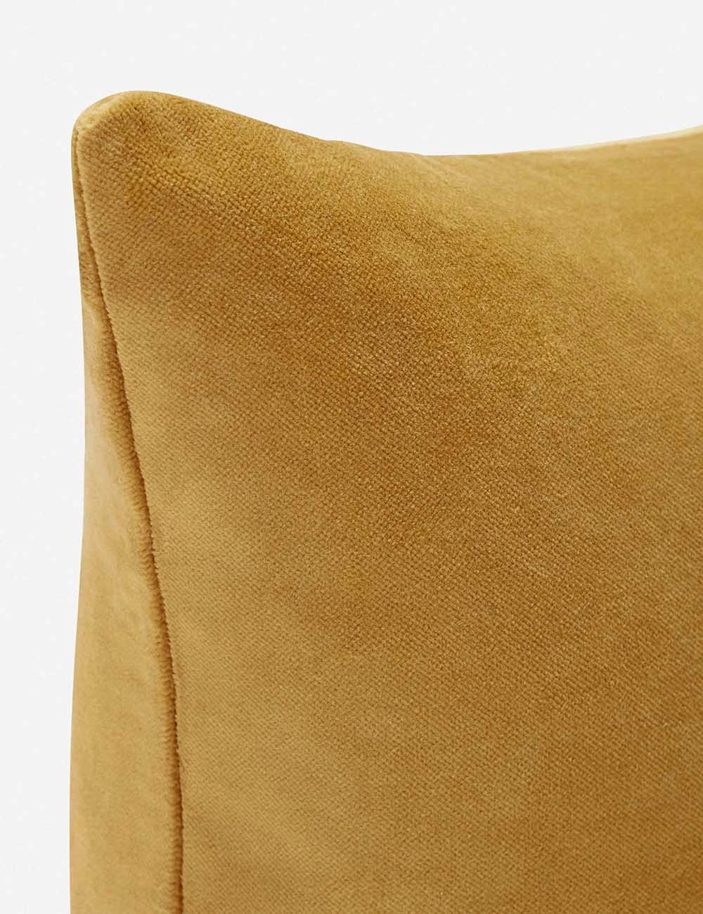 Charlotte Velvet Pillow