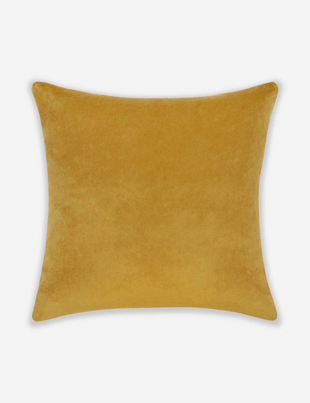 Charlotte Velvet Pillow