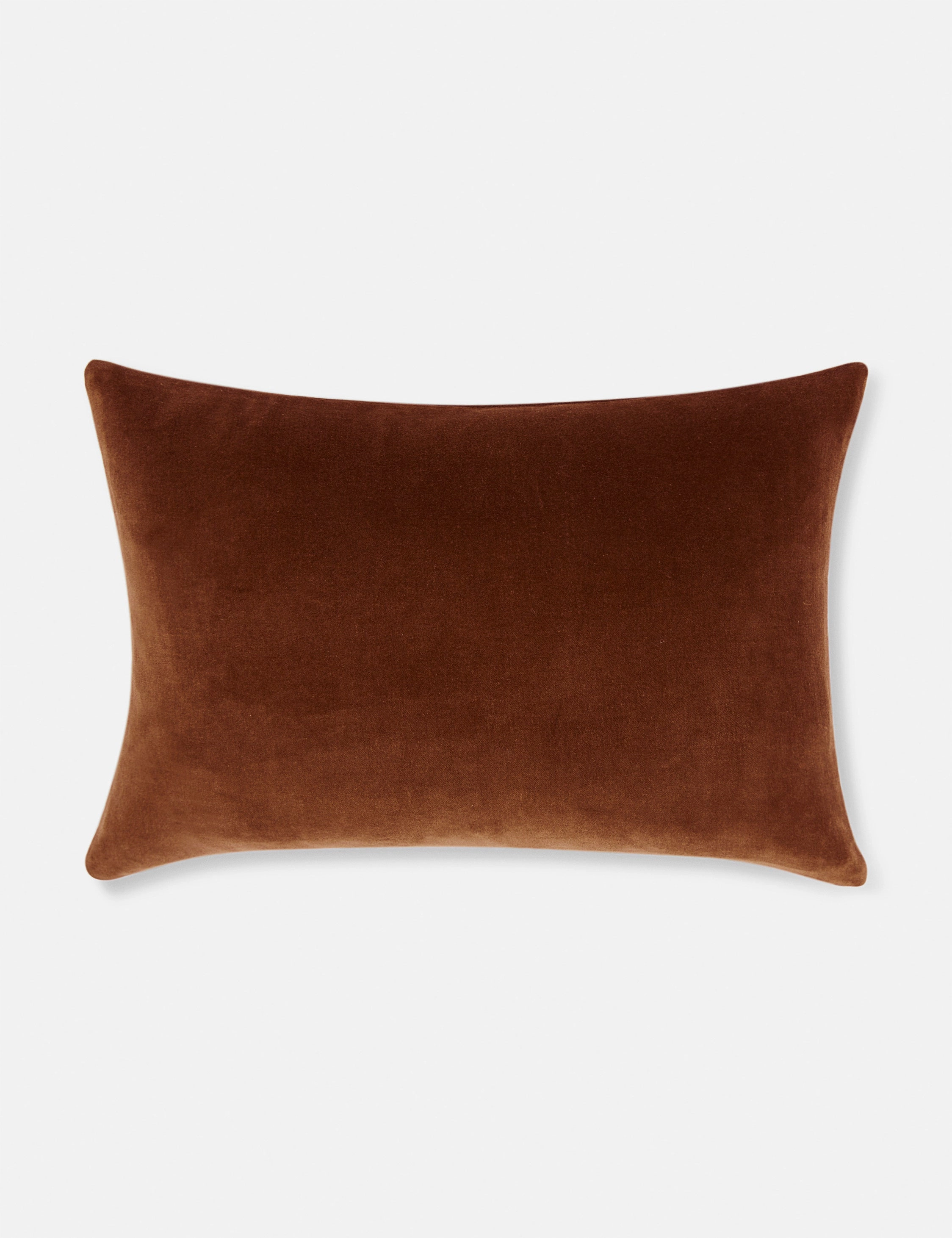 Charlotte Velvet Pillow