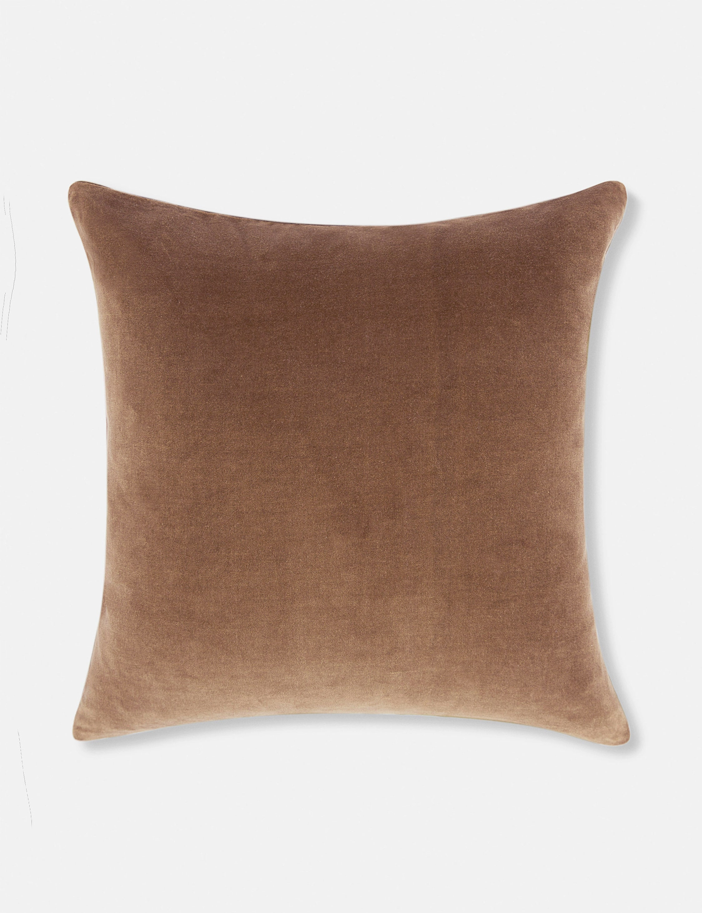 Charlotte Velvet Pillow