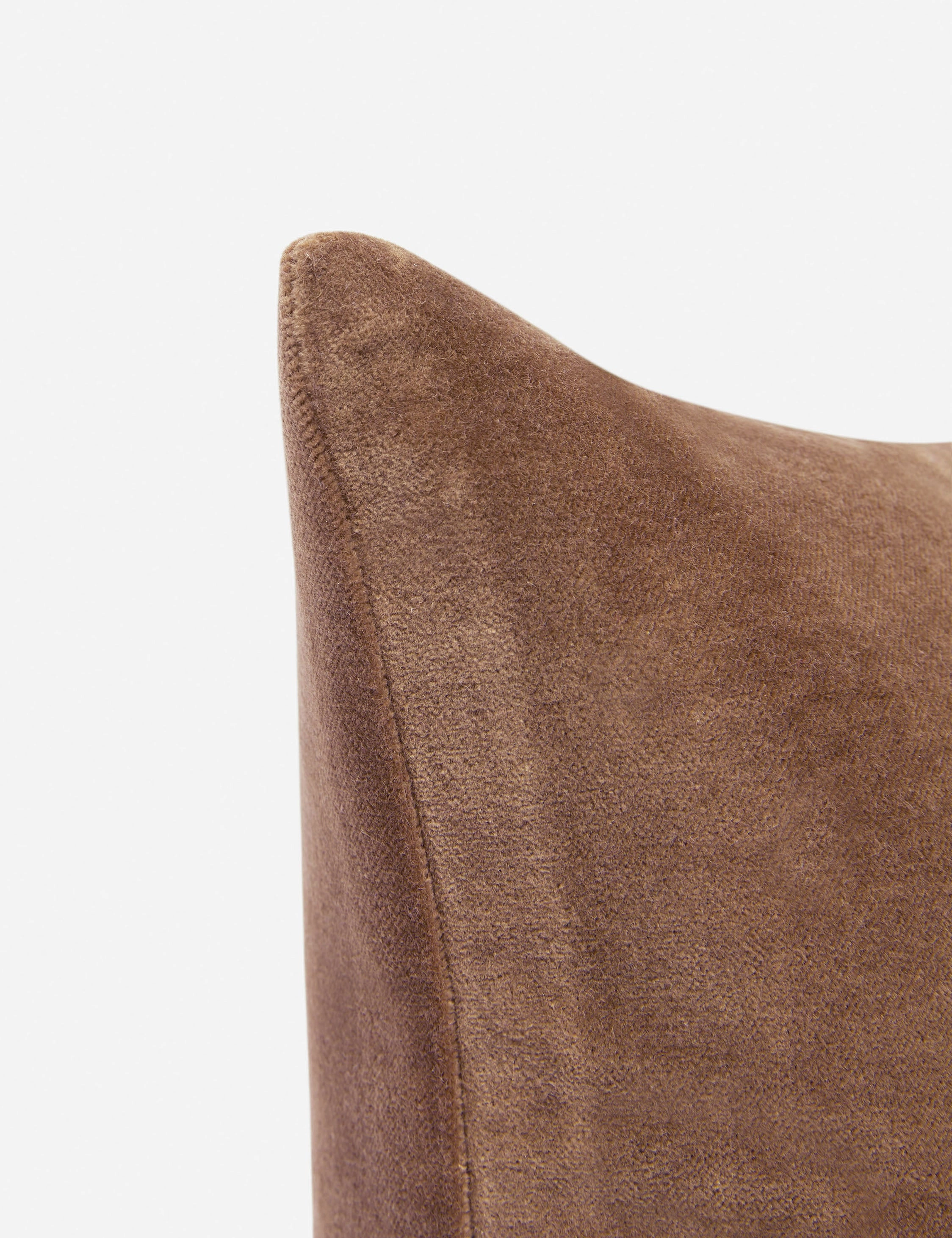 Charlotte Velvet Pillow