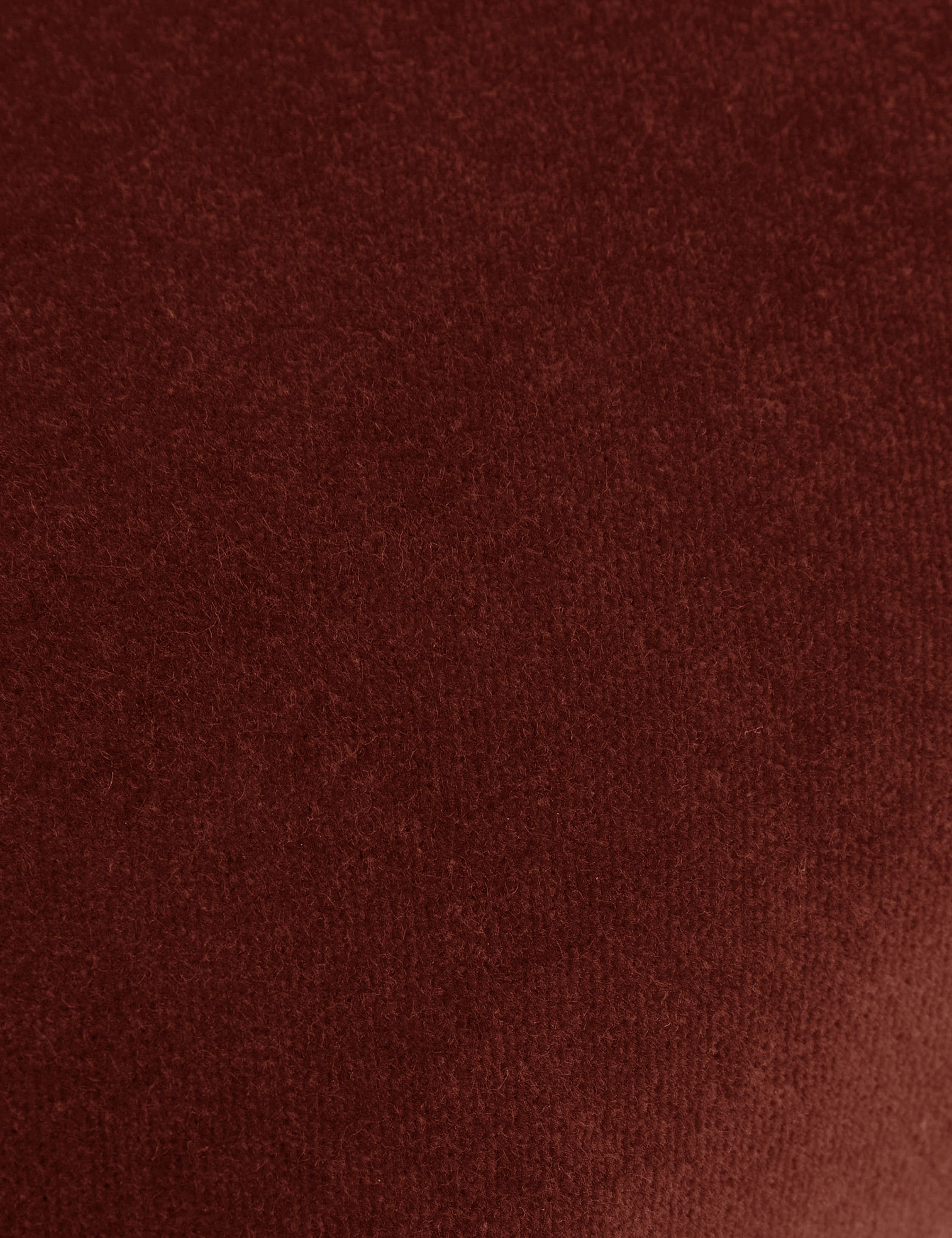 Charlotte Velvet Pillow