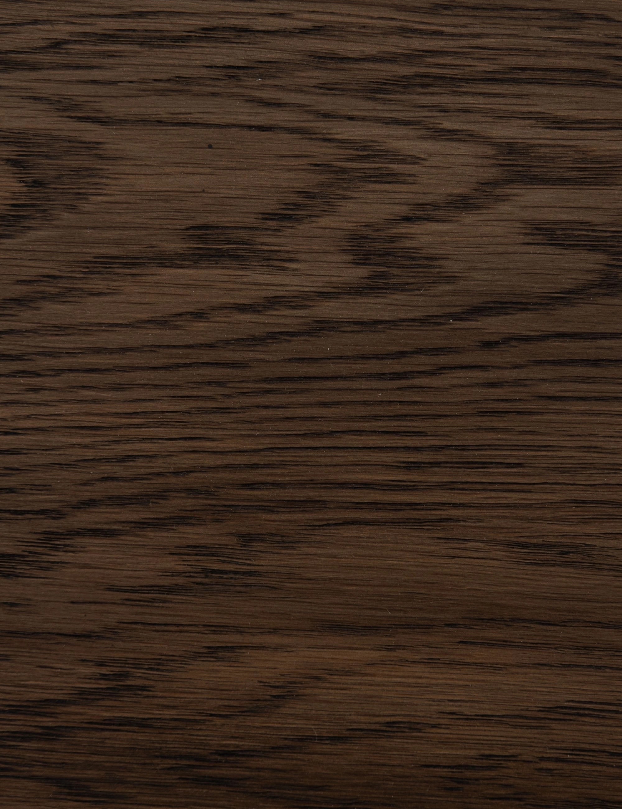 Rian Dining Chair