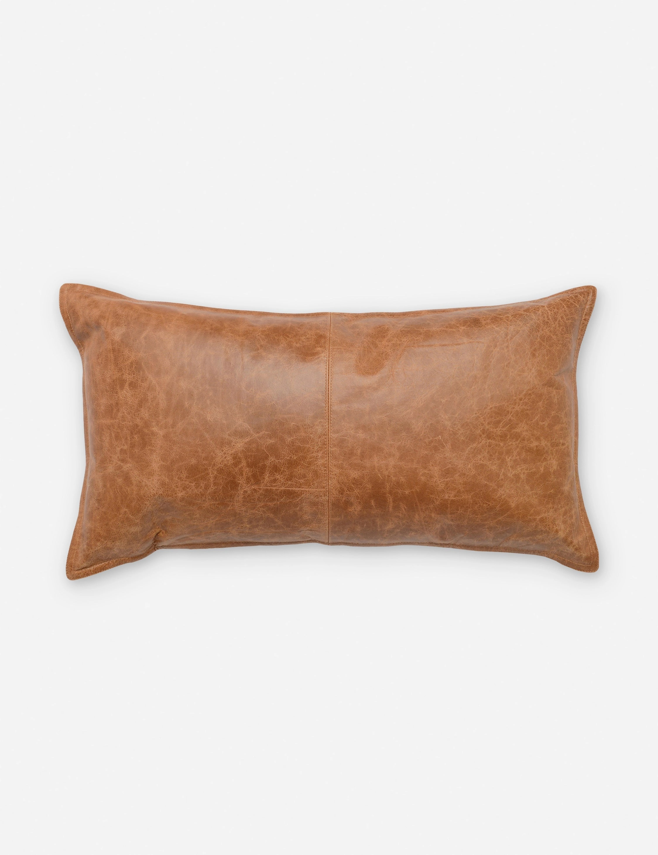 Sabrea Leather Lumbar Pillow