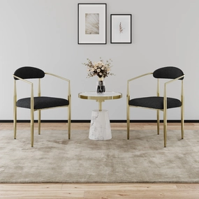 Stylish and Comfortable Dining Chairs with Elegant Design and Durable Construction