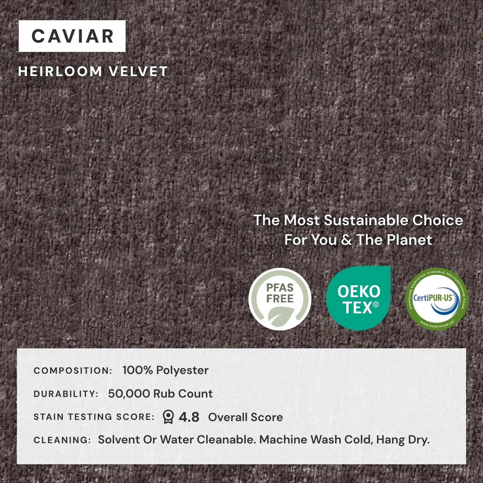Washable Upholstered Dining Chair | 15 Back Height in Caviar