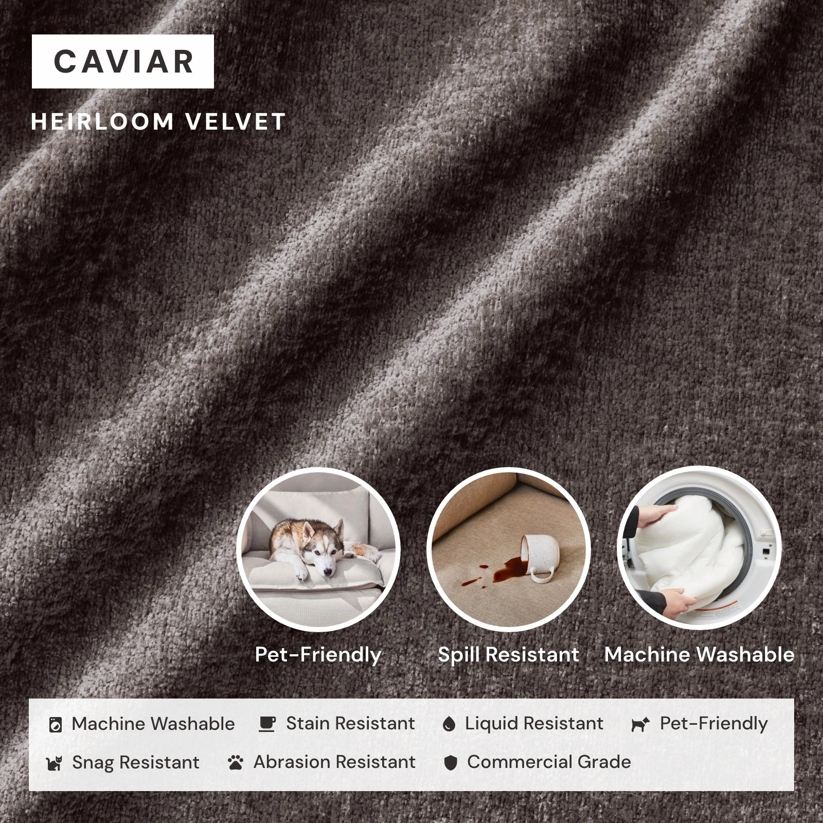 Washable Upholstered Dining Chair | 15 Back Height in Caviar